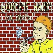 Stuck by Goodbye Harry