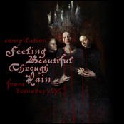 Feeling Beautiful Through Pain - compilation from domovoy7676