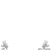 White Heather (2007)