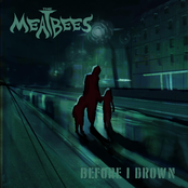 Before I Drown