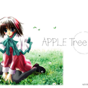 Apple Tree