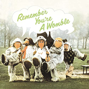 Remember You're A Womble