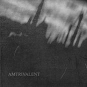 Amtrivalent (Split)