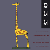 033 - 21 Grupper Från Borås