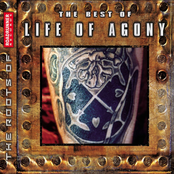 Honeycomb by Life Of Agony