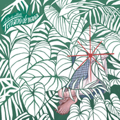 Terrário de Nana - EP