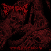 Merging of Flesh and Mineral