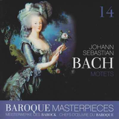 J.S. Bach - Motets