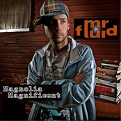 Magnolia Magnificent