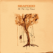 Willow's Song by Seafood