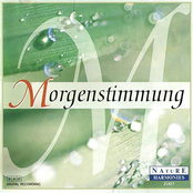 Morgenstimmung - Morning Mood