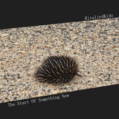 The Start Of Something New