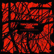 .Smears.Of.Black.Feedback