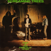 Flying by Screaming Trees