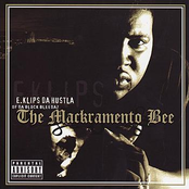 The Macramento Bee