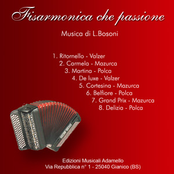Fisarmonica che passione