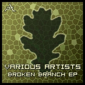 Broken Branch Ep