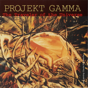 The Traveler of the Universe