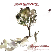 Obliquizioni D'Autunno ... Prima Che L'Aquilone Se Ne Voli Via