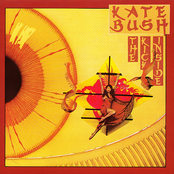 Kite by Kate Bush