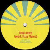 Kool Down / Go Home