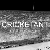 Cricketant