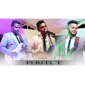 Perfect (Cover)