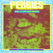 Pebbles, Volume 3: The Acid Gallery