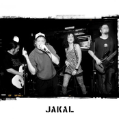 jakal