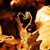 Mindwire & Souldesire