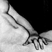 A Superfície Calma, O Âmago Convulso (Inacabado)