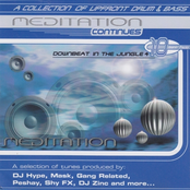 Meditation - Downbeat In The Jungle 4