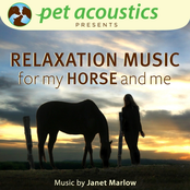 Relaxation Music for My Horse and Me