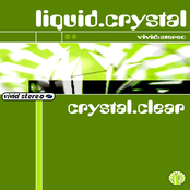 Liquid Crystal
