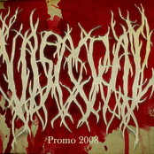 Promo 2008 Album Picture