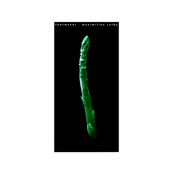 Shotmaker / Maximillian Colby Split 12"