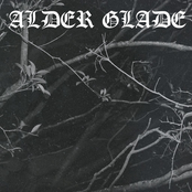 alder glade