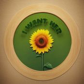 Steinza: Her (Sunflower)