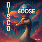 Disco Goose