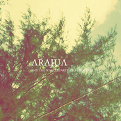 And the waves started to disappear