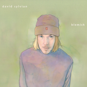 The Only Daughter by David Sylvian