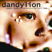 dandylion