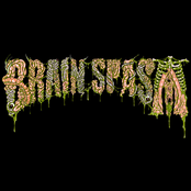 brain spasm