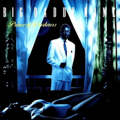 The Lover In You by Big Daddy Kane