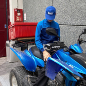 schmetterlin99flyin999+++