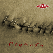 Filth Healer by Pig