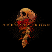 Grenata Rose