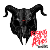 Rising from the Ashes