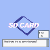 Sd Card - Single