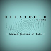 Leaves Falling In Fall